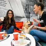 Hotel Ibis Center 4*