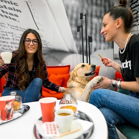 Hotel Ibis Center 4*