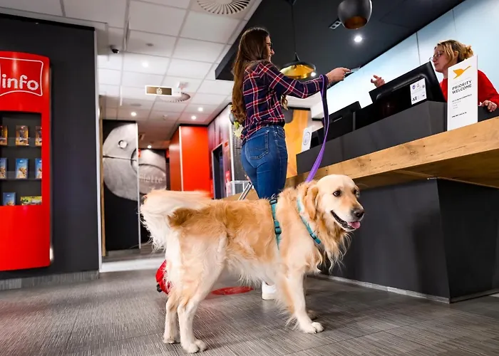 Ibis Center Hotel 4*